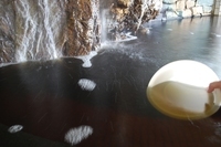 有限会社亀山温泉ホテルのプレスリリース画像2