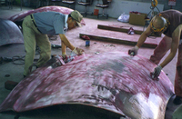 山形市のプレスリリース画像7