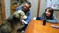 一般社団法人 保護犬のわんこのプレスリリース画像8