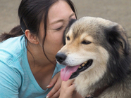 一般社団法人 保護犬のわんこのプレスリリース画像3