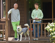 一般社団法人 保護犬のわんこのプレスリリース画像4