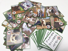 一般社団法人 保護犬のわんこのプレスリリース画像4