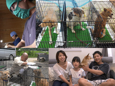 一般社団法人 保護犬のわんこのプレスリリース画像1