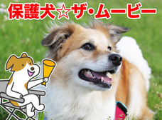 一般社団法人 保護犬のわんこのプレスリリース画像5