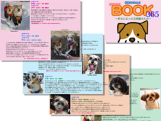 一般社団法人 保護犬のわんこのプレスリリース画像1