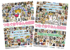 一般社団法人 保護犬のわんこのプレスリリース画像2