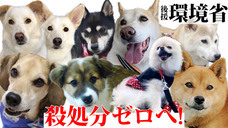 一般社団法人 保護犬のわんこのプレスリリース画像3