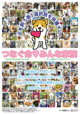 一般社団法人 保護犬のわんこのプレスリリース画像6