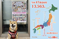 一般社団法人 保護犬のわんこのプレスリリース画像5