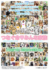 一般社団法人 保護犬のわんこのプレスリリース画像7
