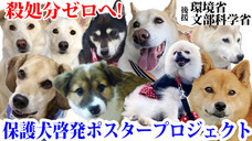 一般社団法人 保護犬のわんこのプレスリリース画像1