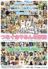 一般社団法人 保護犬のわんこのプレスリリース画像5