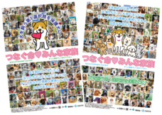 一般社団法人 保護犬のわんこのプレスリリース画像3
