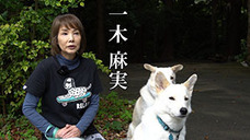 一般社団法人 保護犬のわんこのプレスリリース画像13