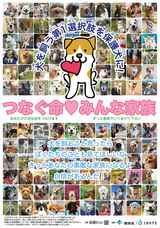 一般社団法人 保護犬のわんこのプレスリリース画像14