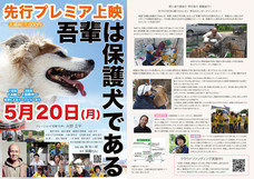 一般社団法人 保護犬のわんこのプレスリリース画像13