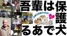 一般社団法人 保護犬のわんこのプレスリリース画像2