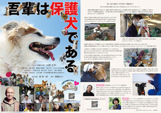 一般社団法人 保護犬のわんこのプレスリリース画像2