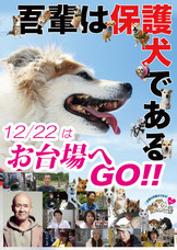 一般社団法人 保護犬のわんこのプレスリリース画像3