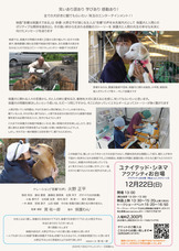 一般社団法人 保護犬のわんこのプレスリリース画像1