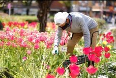 特定非営利活動法人　金融知力普及協会のプレスリリース画像3