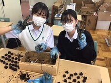 特定非営利活動法人　金融知力普及協会のプレスリリース画像5