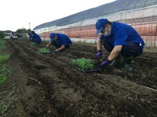 特定非営利活動法人　金融知力普及協会のプレスリリース画像3