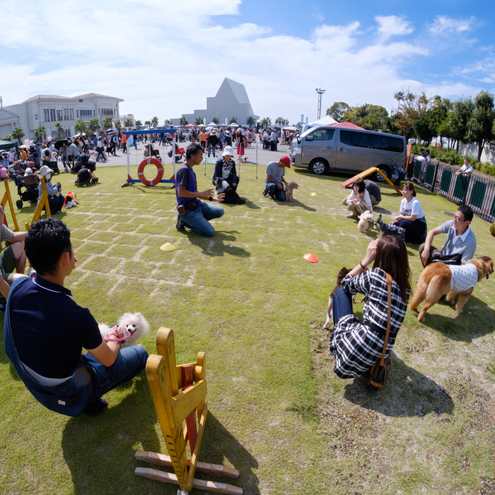 日本最大わんこのマルシェ わんだらけ を名古屋ベイサイドで12 8 日 開催します Bunbunshopのプレスリリース 日本最大わんこのマルシェ わんだらけ を名古屋ベイサイドで12 8 日 開催します Bunbunshopのプレスリリース