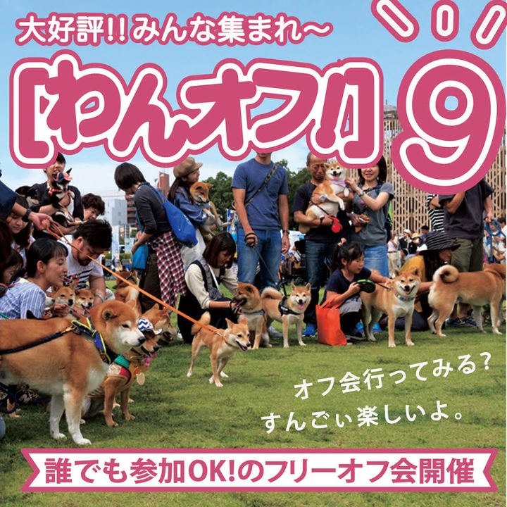 日本最大わんこのマルシェ わんだらけ を名古屋ベイサイドで12 8 日 開催します Bunbunshopのプレスリリース 日本最大わんこのマルシェ わんだらけ を名古屋ベイサイドで12 8 日 開催します Bunbunshopのプレスリリース