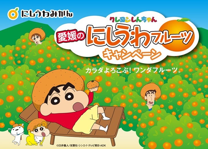 西宇和農業協同組合のプレスリリース画像3