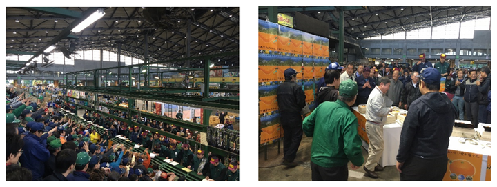 西宇和農業協同組合のプレスリリース画像7