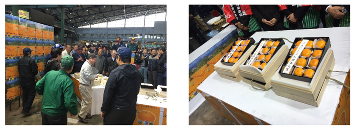 西宇和農業協同組合のプレスリリース画像6