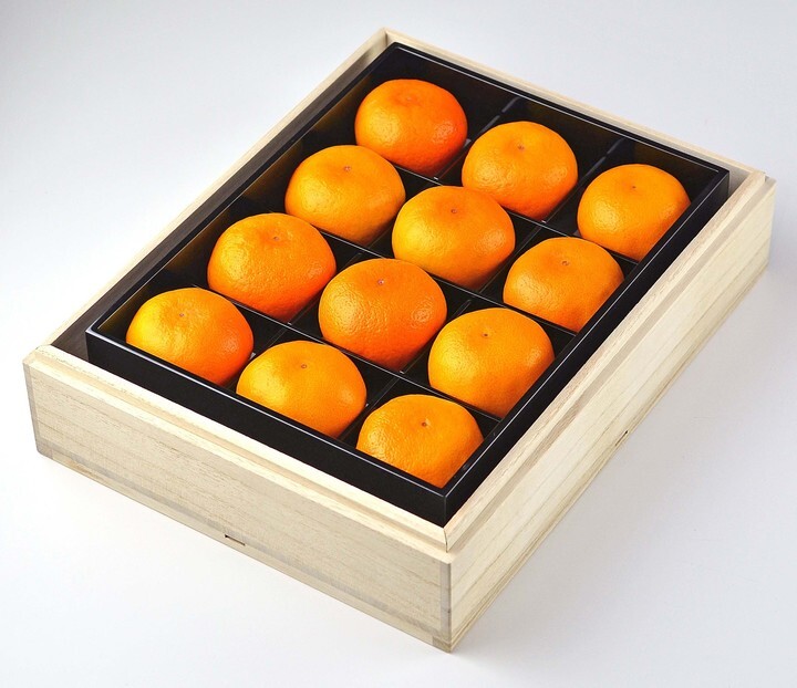 西宇和農業協同組合のプレスリリース画像4