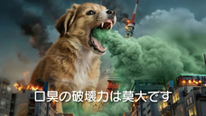 ドッグダイナー株式会社のプレスリリース画像1