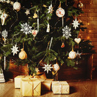 カイト株式会社のプレスリリース画像1