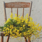 カイト株式会社のプレスリリース画像2