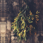 カイト株式会社のプレスリリース画像1