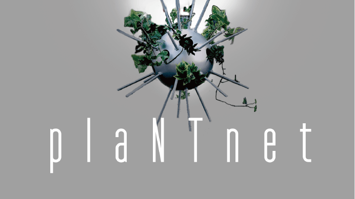 カイト株式会社のプレスリリース画像1