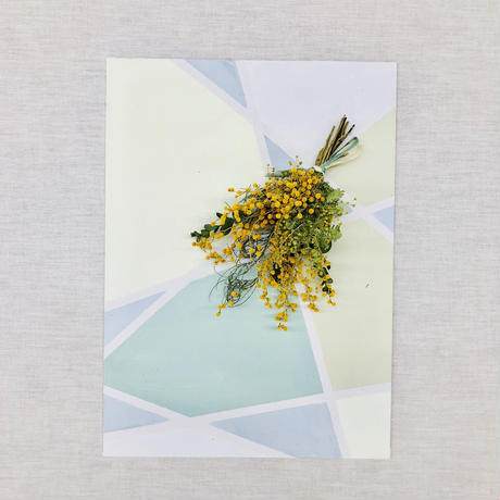 カイト株式会社のプレスリリース画像1