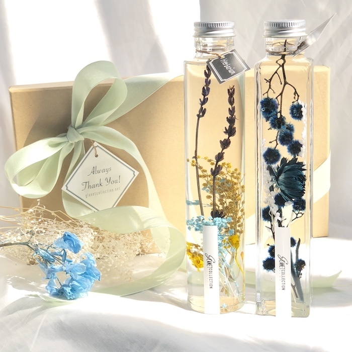 カイト株式会社のプレスリリース画像2