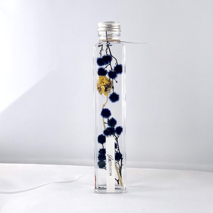 カイト株式会社のプレスリリース画像3