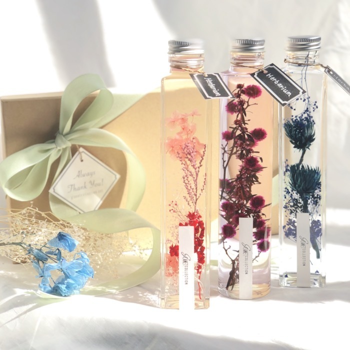 カイト株式会社のプレスリリース画像1