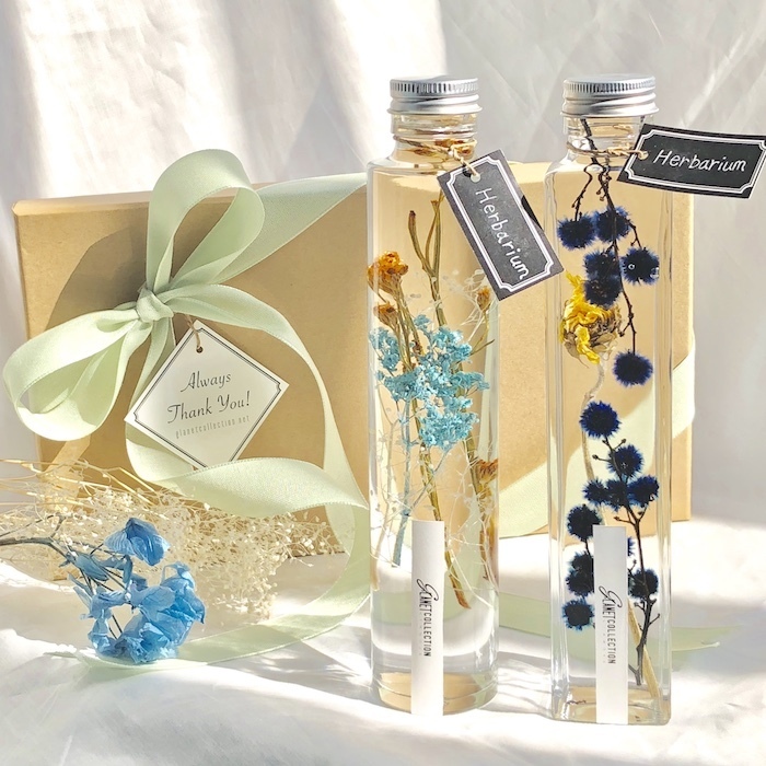 カイト株式会社のプレスリリース画像2