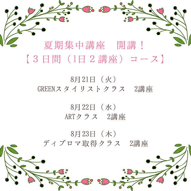カイト株式会社のプレスリリース画像3