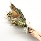 カイト株式会社のプレスリリース画像3