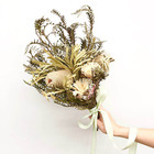 カイト株式会社のプレスリリース画像1