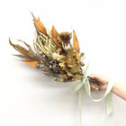 カイト株式会社のプレスリリース画像2