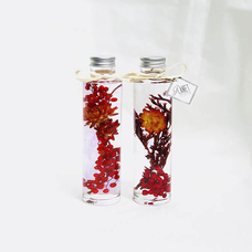 カイト株式会社のプレスリリース画像3