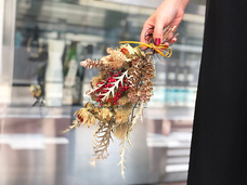 カイト株式会社のプレスリリース画像2