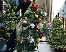 カイト株式会社のプレスリリース画像2